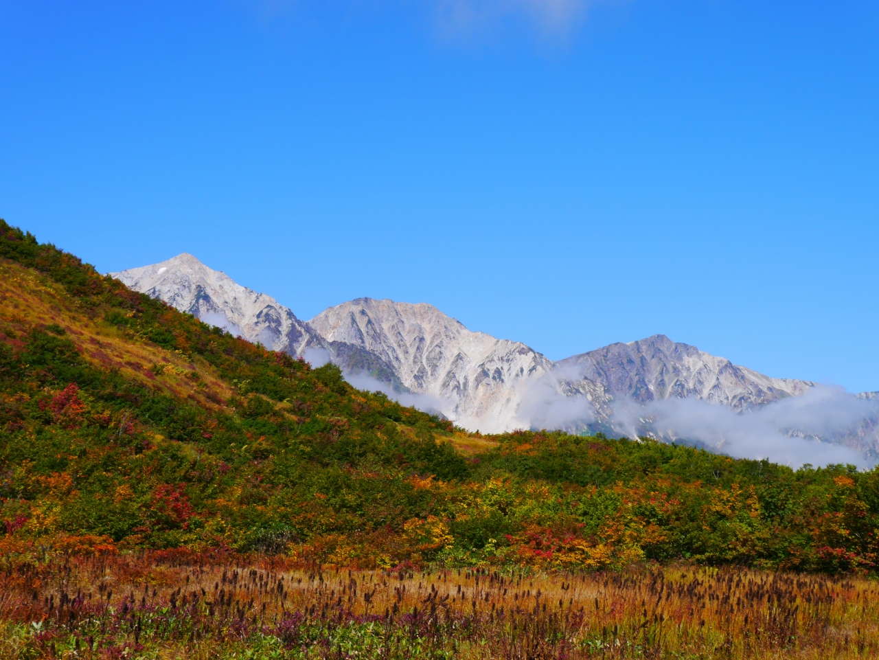 紅葉の絶景山登り 唐松岳 八方池 白馬乗鞍岳 ー 1日目ー 八方尾根 岩岳 長野県 の旅行記 ブログ By にゃんこさん フォートラベル