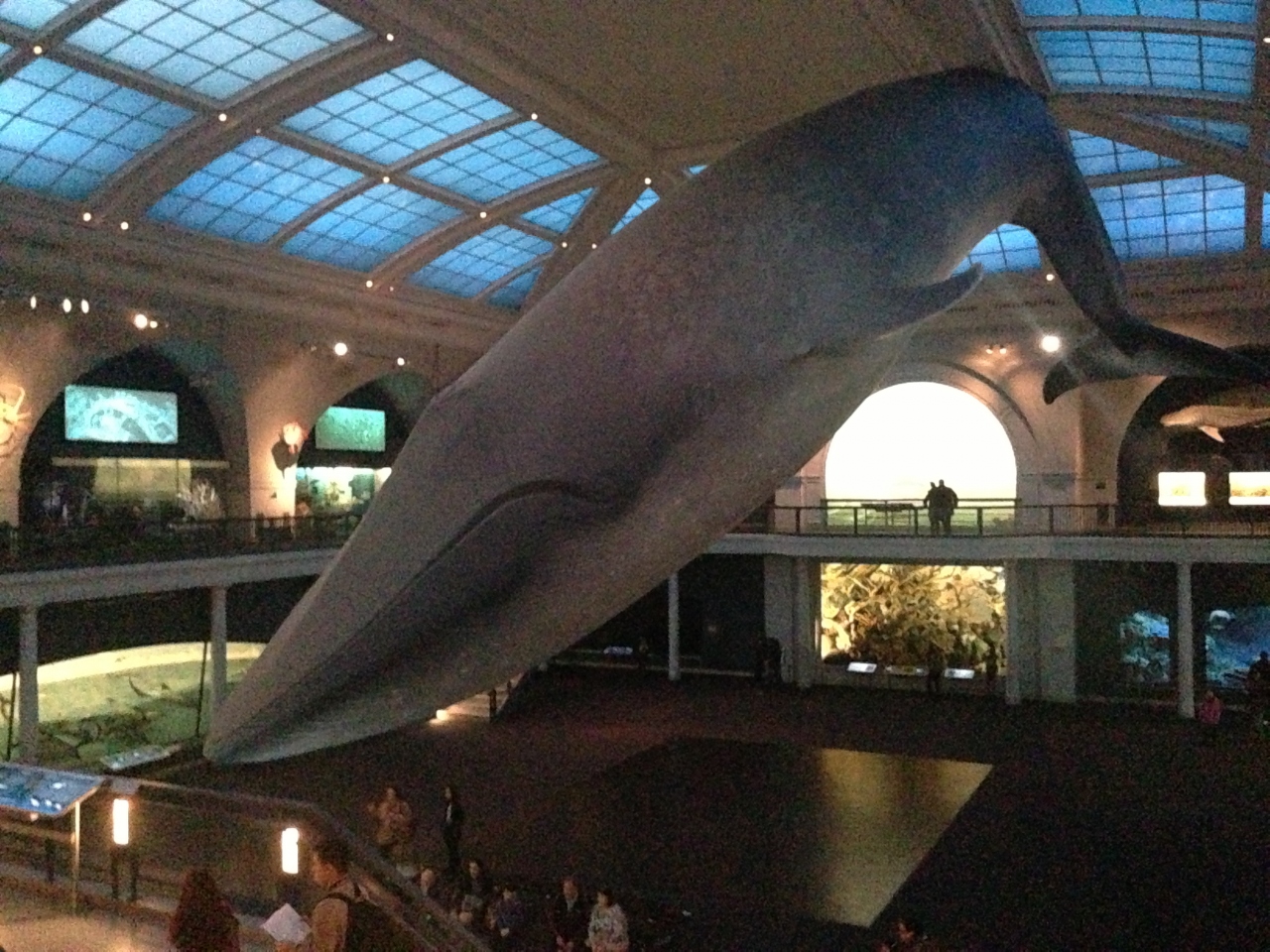 Nyへライブ観戦 7日間 その7 アメリカ自然史博物館編 ニューヨーク アメリカ の旅行記 ブログ By Hiroさん フォートラベル