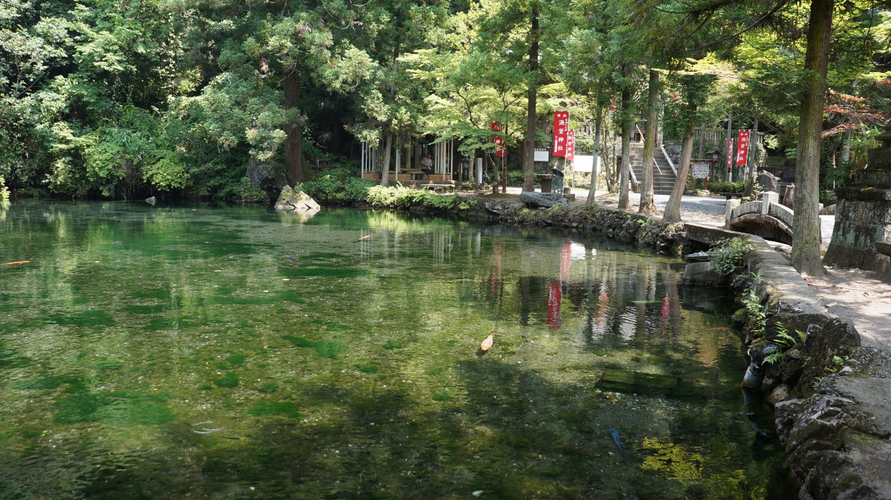 栃木県佐野市 佐野 栃木県 の旅行記 ブログ By Wind99さん フォートラベル
