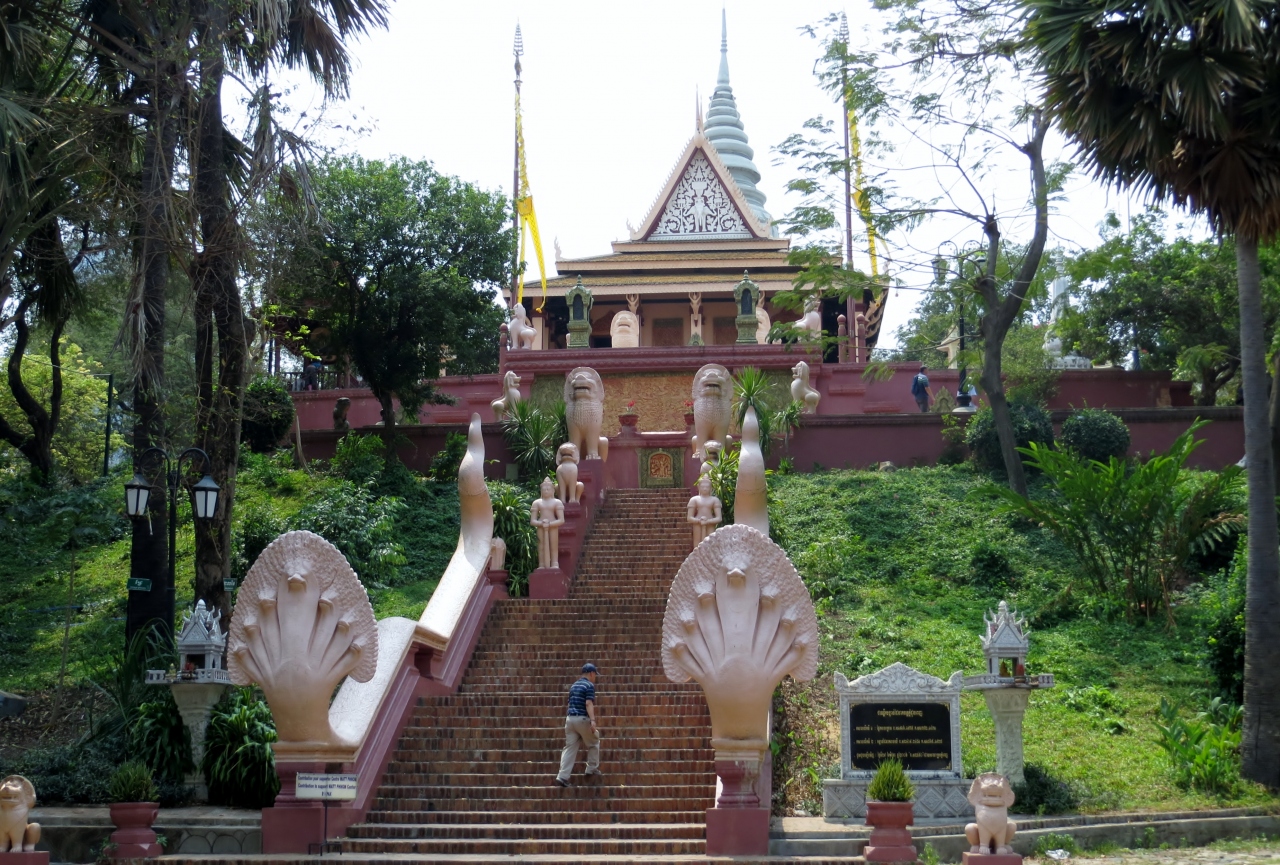 2014春、カンボジア旅行記2(10)：3月19日(7)：プノンペン、ワット・プノン、菩提樹、ワット・プノンからの眺望、ピーコック・フラワー