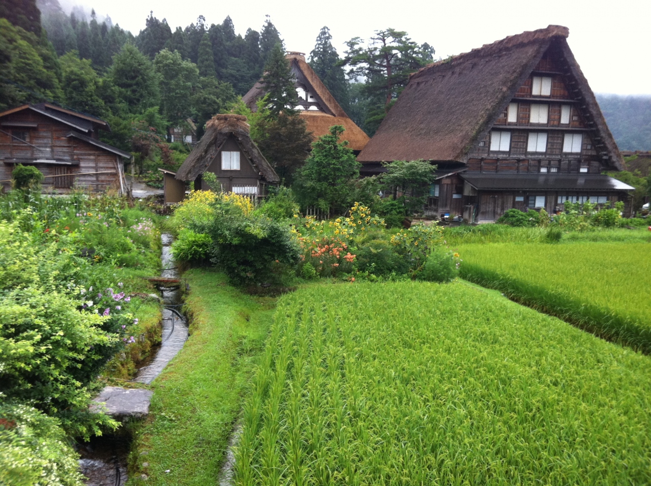 長野 岐阜旅行記 白川郷編 白川郷 岐阜県 の旅行記 ブログ By Ciaobella Sakuraさん フォートラベル