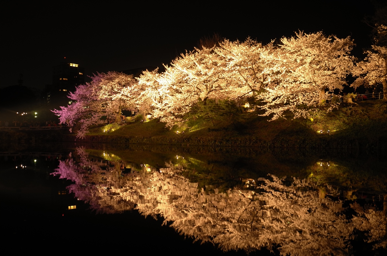 官兵衛も愛した であろう 福岡城の桜 夜空に咲き誇る 博多 福岡県 の旅行記 ブログ By hさん フォートラベル