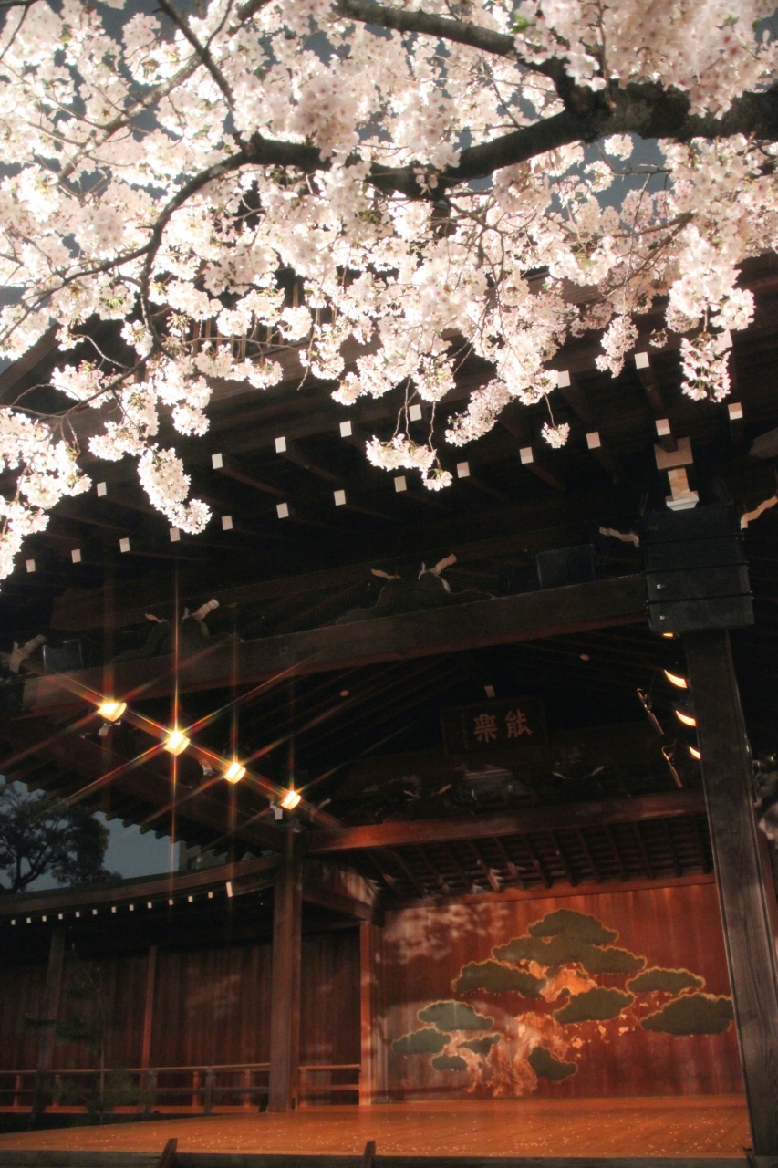 恒例の靖国神社の夜桜能 ３度目にして文字通り満開の夜桜能 神田 神保町 東京 の旅行記 ブログ By まみさん フォートラベル