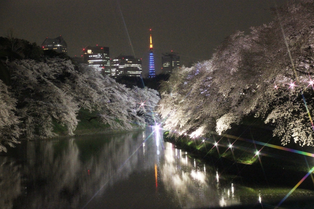 桜が満開の千鳥ヶ淵のライトアップは幽玄なモノトーンの世界 神田 神保町 東京 の旅行記 ブログ By まみさん フォートラベル 桜が満開の千鳥ヶ淵のライトアップは幽玄なモノトーンの世界 神田 神保町 東京 の旅行記 ブログ By まみさん フォートラベル