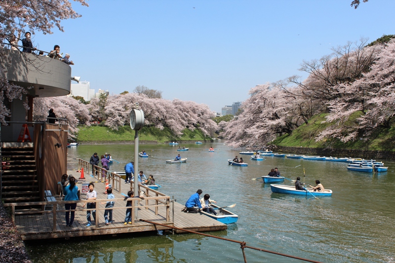 初公開の皇居乾通りの桜はスルーして お堀をぐるりと廻って 千鳥ヶ淵のお花見 丸の内 大手町 八重洲 東京 の旅行記 ブログ By Yoshieriさん フォートラベル