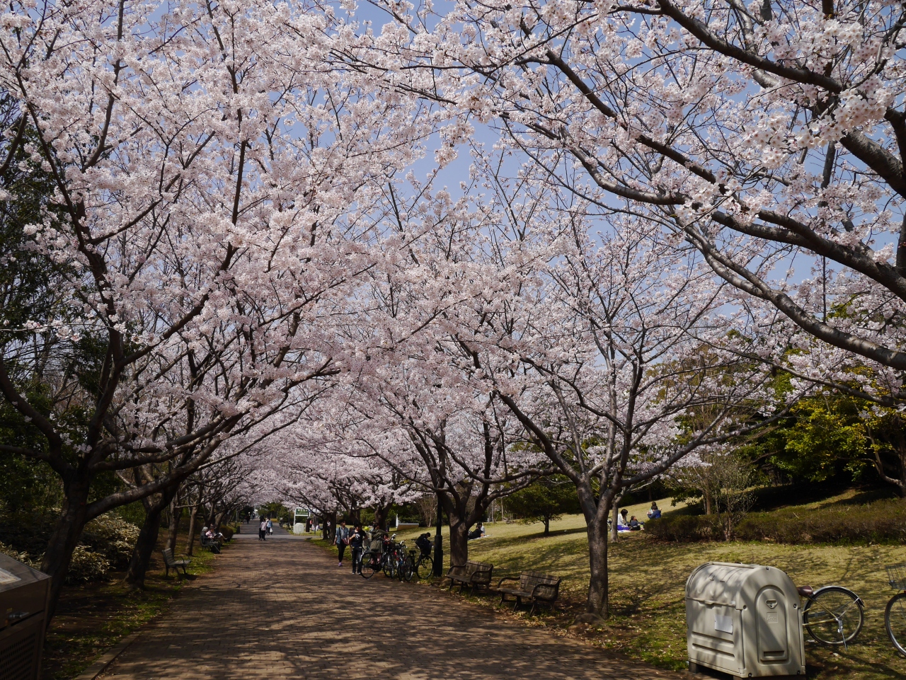 臨海 公園 葛西