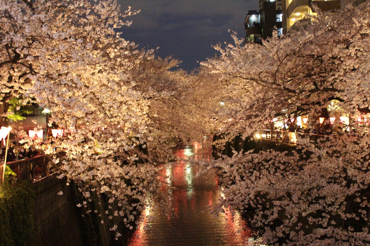 14年春 ギリギリのタイミングで目黒川の桜を観ることができました 来年は青空のもとで 中目黒 祐天寺 東京 の旅行記 ブログ By Tsuneさん フォートラベル 14年春 ギリギリのタイミングで目黒川の桜を観ることができました 来年は青空のもとで 中目黒 祐天寺 東京 の旅行記 ブログ By Tsuneさん フォートラベル