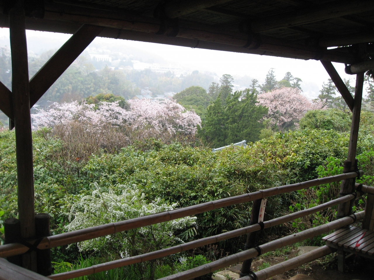 １４ 関東の駅百選 神奈川ｊｒ編２ 桜の北鎌倉駅 東慶寺 円覚寺 鎌倉 神奈川県 の旅行記 ブログ By たーさん フォートラベル