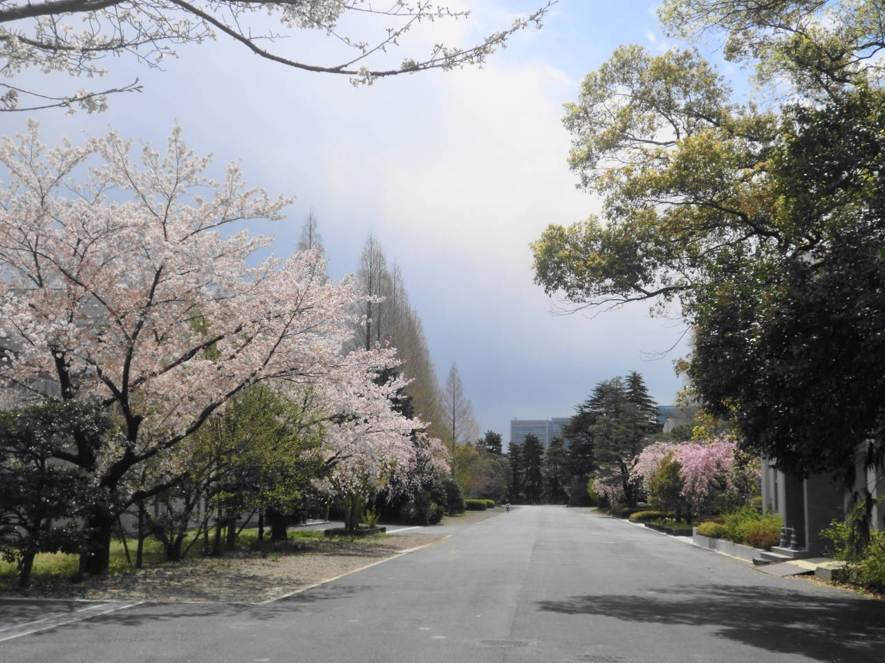 後桜町天皇