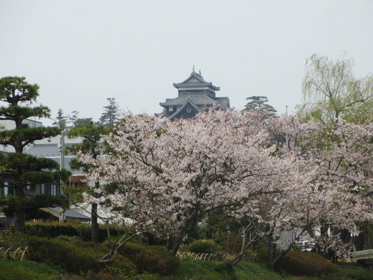 桜満開の松江城と堀川めぐり 鳥取 島根の旅その5 松江 松江しんじ湖温泉 島根県 の旅行記 ブログ By Okahonさん フォートラベル 桜満開の松江城と堀川めぐり 鳥取 島根の旅その5 松江 松江しんじ湖温泉 島根県 の旅行記 ブログ By Okahonさん フォートラベル