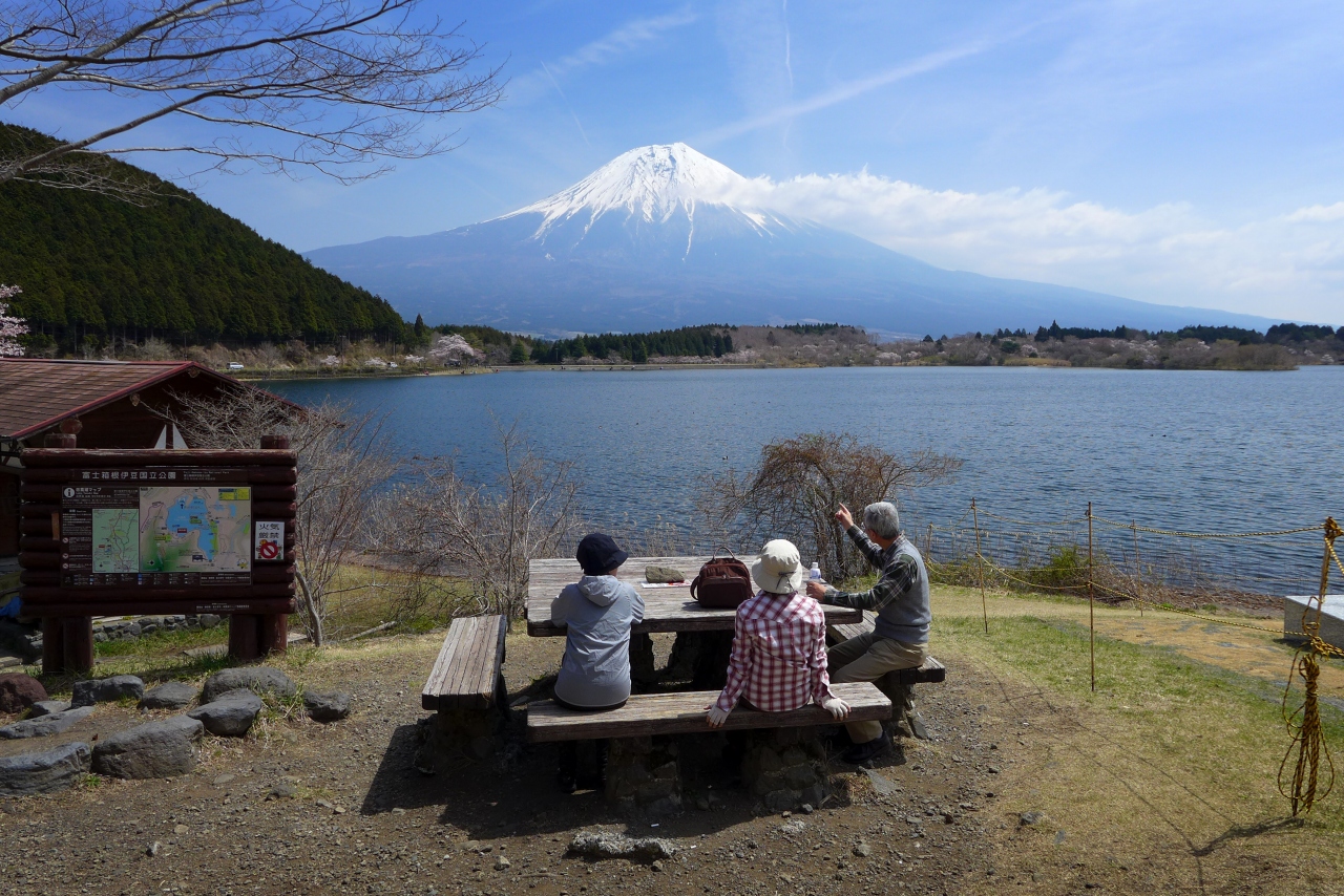 桜咲く 田貫湖一周散策路 富士宮 静岡県 の旅行記 ブログ By ハッキーさん フォートラベル 桜咲く 田貫湖一周散策路 富士宮 静岡県 の旅行記 ブログ By ハッキーさん フォートラベル