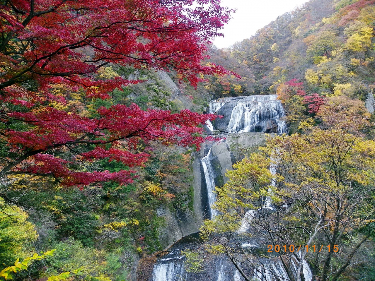 北茨城の紅葉 北茨城 磯原 茨城県 の旅行記 ブログ By ペコちゃんさん フォートラベル