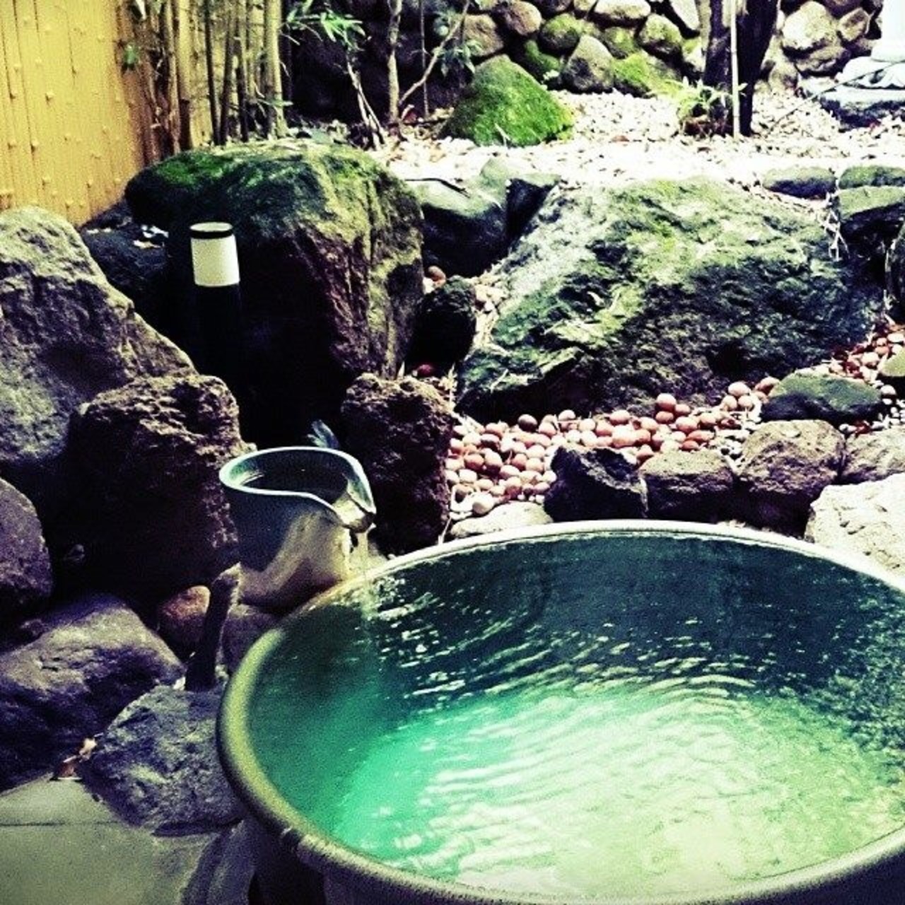 のんびり別府 興奮のうみたまご 大分県の旅行記 ブログ By Japanhaleさん フォートラベル