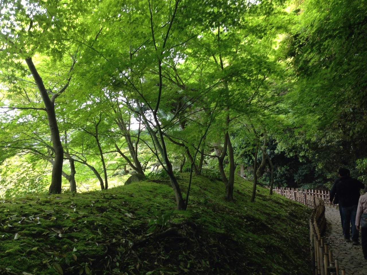 同僚と讃岐うどん ことでんで栗林公園の日帰り旅 高松 香川県 の旅行記 ブログ By Nubonuboさん フォートラベル 同僚と讃岐うどん ことでんで栗林公園の日帰り旅 高松 香川県 の旅行記 ブログ By Nubonuboさん フォートラベル