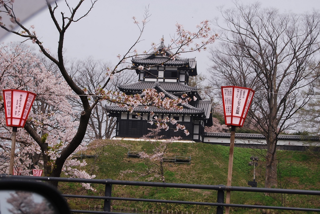 高田公園の桜を見る 上越 直江津 新潟県 の旅行記 ブログ By Tsunetaさん フォートラベル