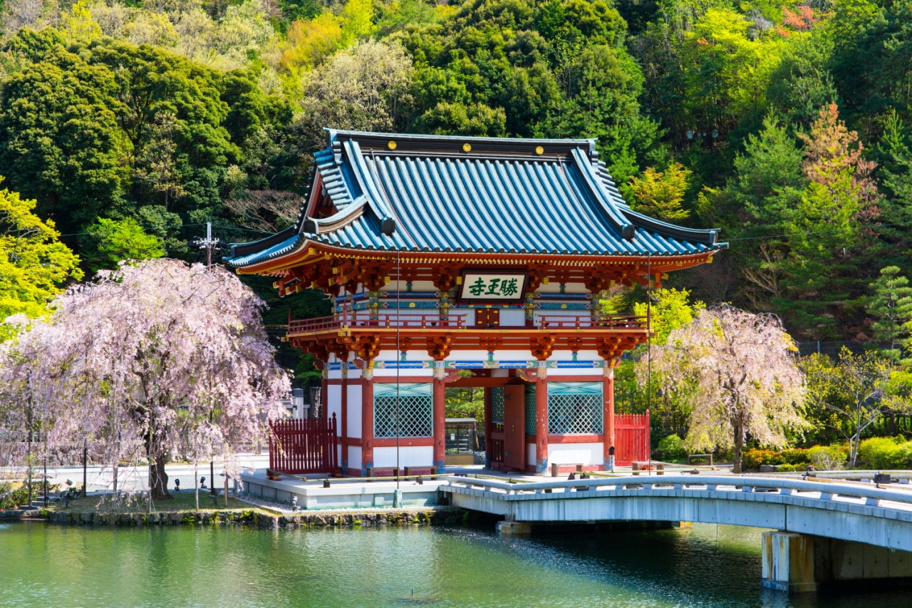 勝運の寺へ桜を見に 勝尾寺 箕面 大阪 の旅行記 ブログ By 人見知りのサンタさん フォートラベル 勝運の寺へ桜を見に 勝尾寺 箕面 大阪 の旅行記 ブログ By 人見知りのサンタさん フォートラベル
