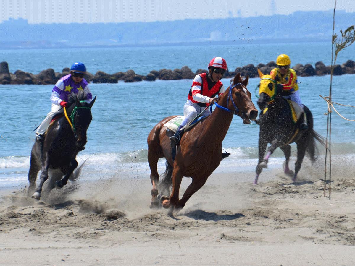 第38回さがら草競馬大会 14 04 27 Vol 1 牧之原 静岡県 の旅行記 ブログ By てんとう虫さん フォートラベル
