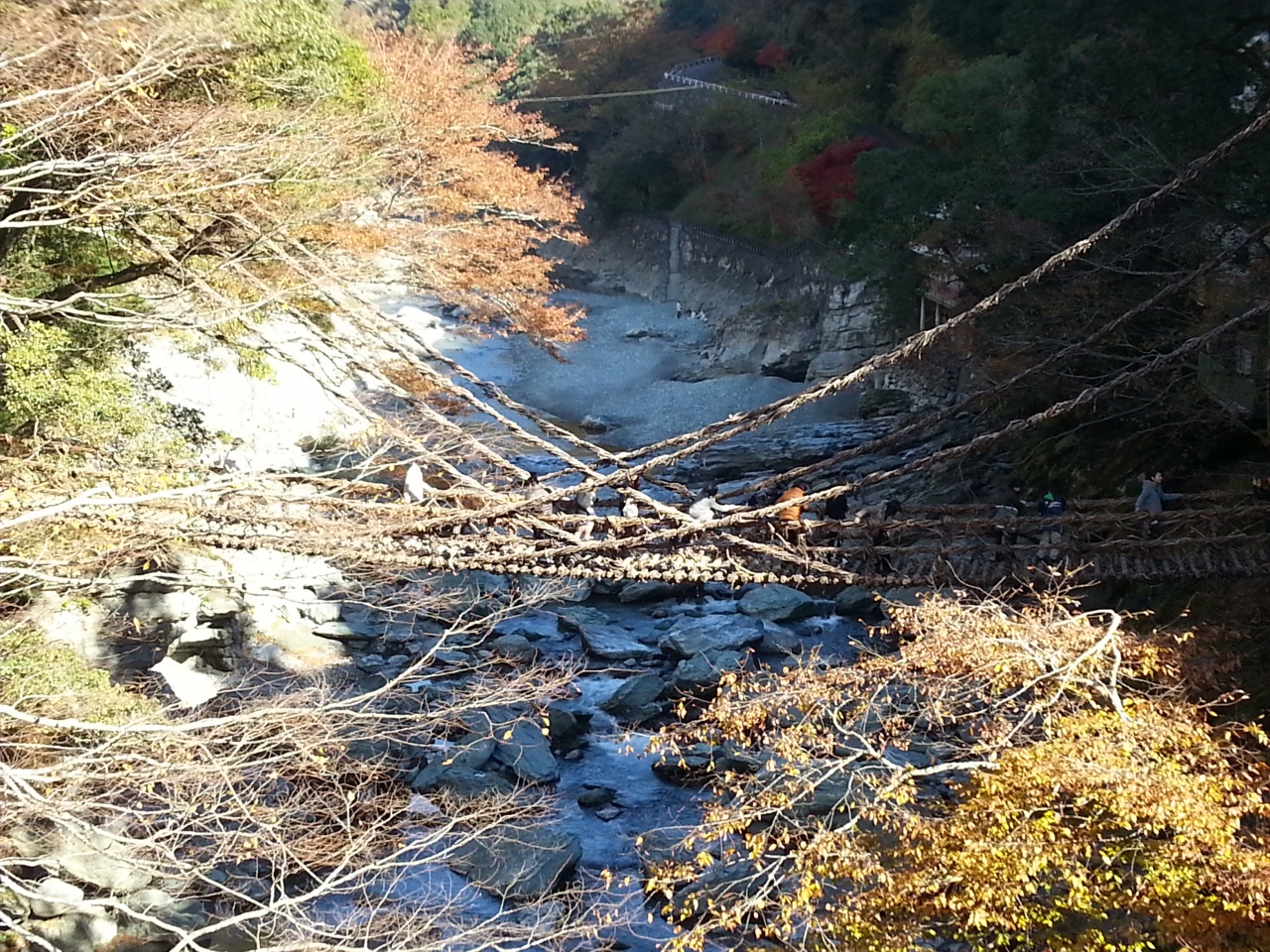 大歩危小歩危 祖谷のかずら橋 祖谷渓 かずら橋 大歩危 徳島県 の旅行記 ブログ By ゆりなさん フォートラベル