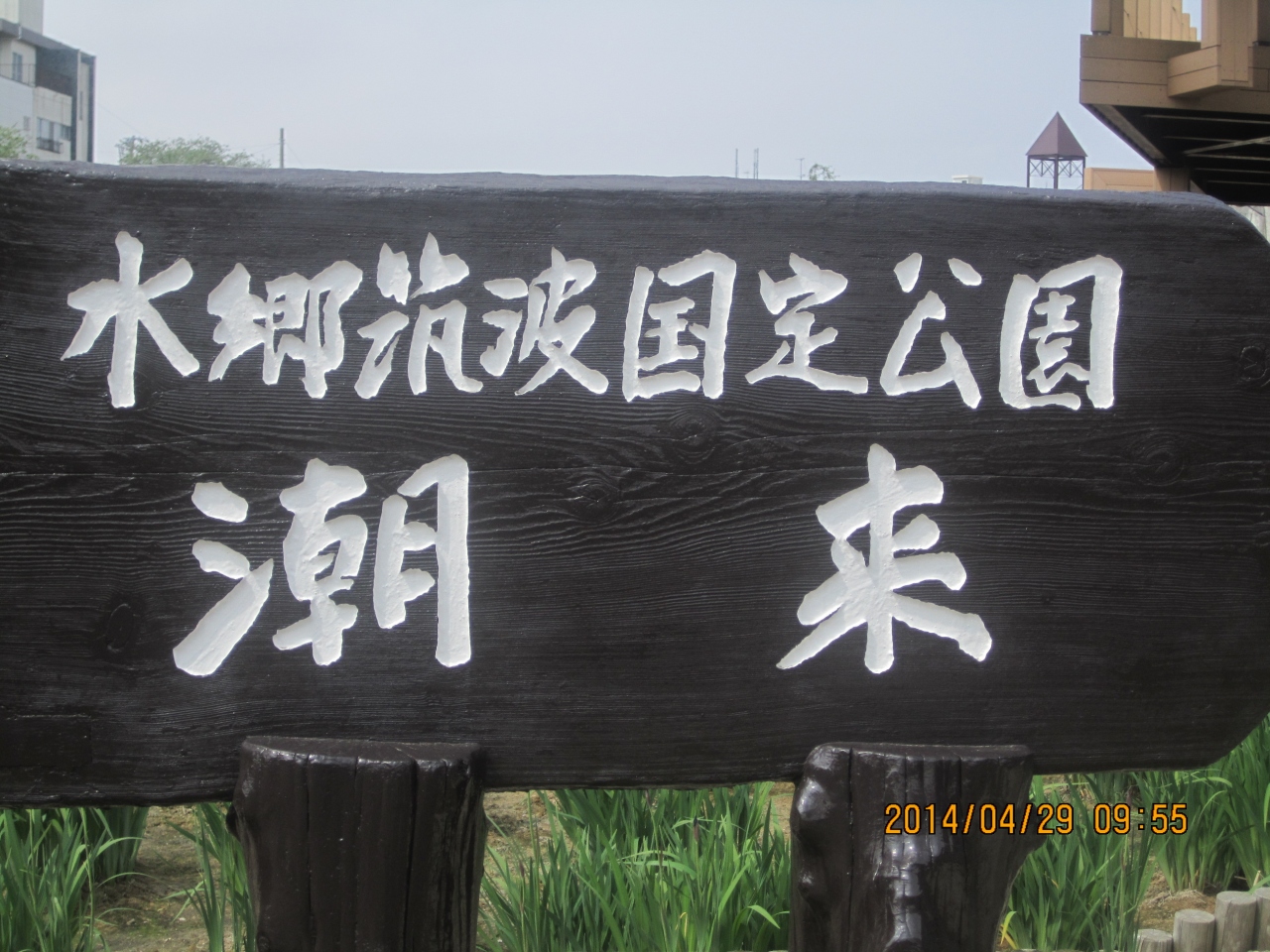 あやめには早いけど 鹿島神宮から 潮来あやめ園 佐原水生植物園 香取 佐原 千葉県 の旅行記 ブログ By フィーコさん フォートラベル