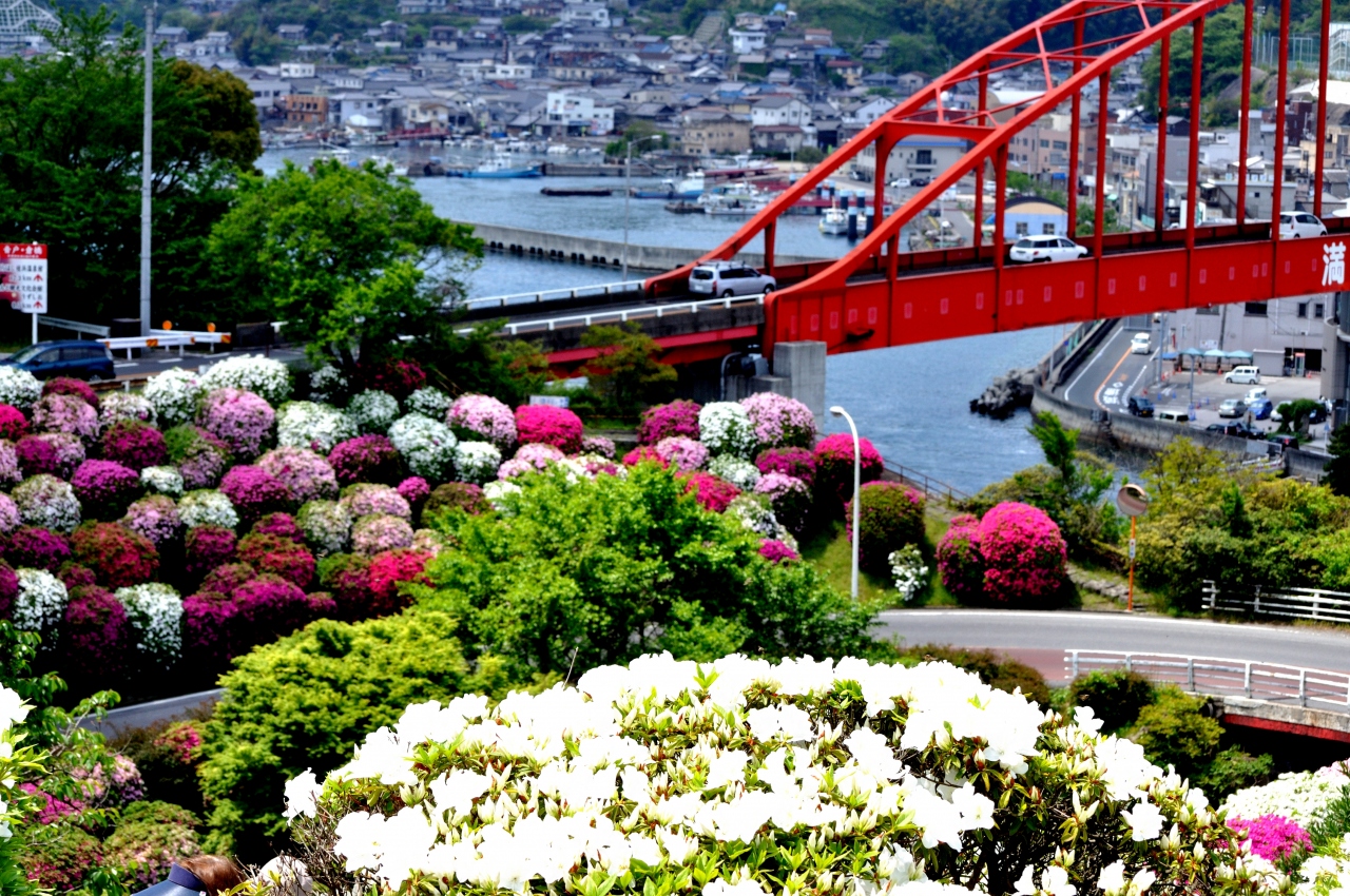 つつじの花が咲き誇る 音戸の瀬戸公園 呉 海田 安浦 広島県 の旅行記 ブログ By Elliott 7さん フォートラベル