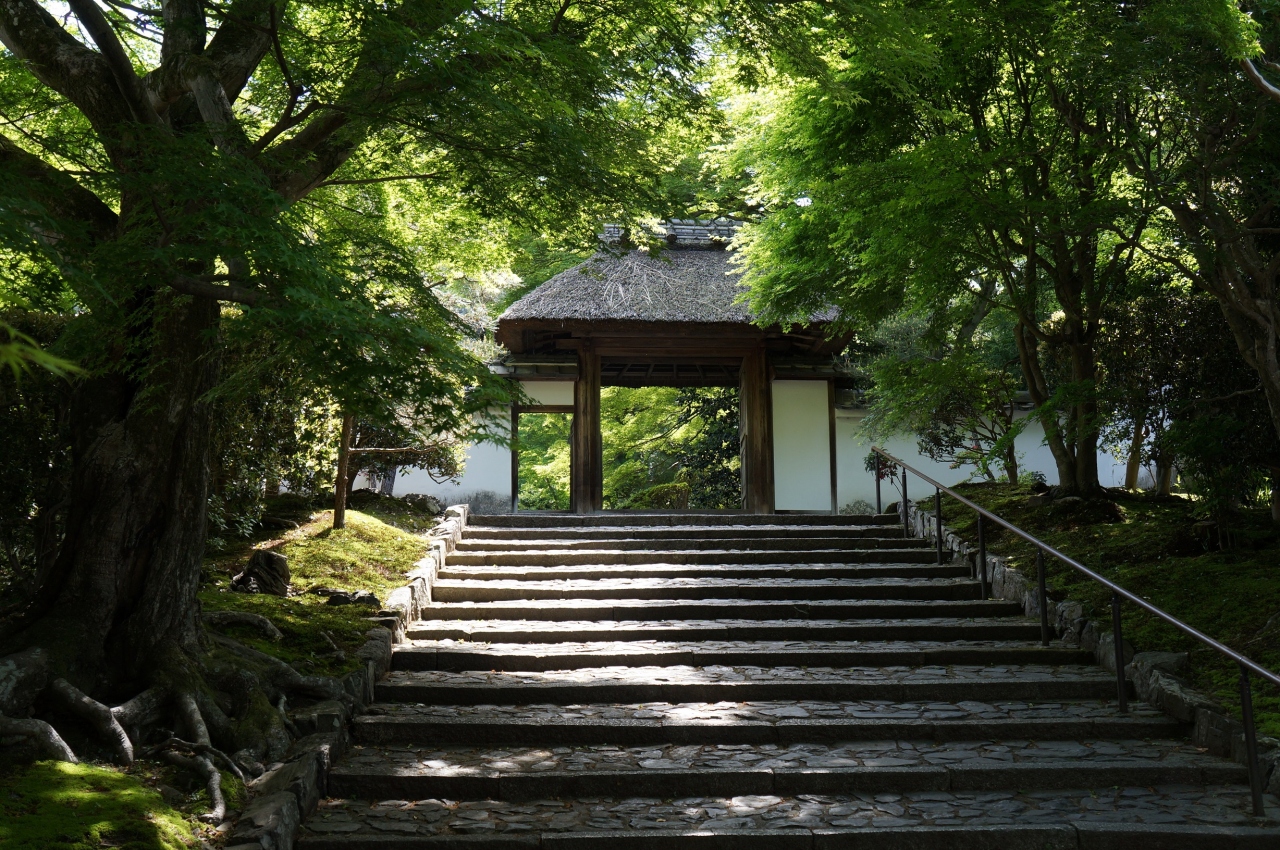 新緑の京都の旅 東山 祇園 北白川 京都 の旅行記 ブログ By Shigechan50さん フォートラベル 新緑の京都の旅 東山 祇園 北白川 京都 の旅行記 ブログ By Shigechan50さん フォートラベル