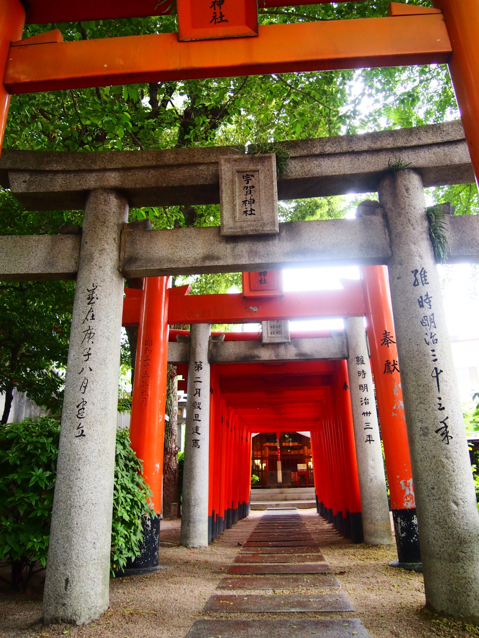 博多の街歩き 櫛田神社内 宇賀神社を発見 博多 福岡県 の旅行記 ブログ By Nadeshiko28さん フォートラベル