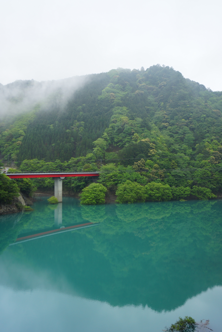 和歌山の花めぐり 2014年 ヤッホーもね 御坊 印南 日高川 和歌山県 の旅行記 ブログ By Hiro3さん フォートラベル 和歌山の花めぐり 2014年 ヤッホーもね 御坊 印南 日高川 和歌山県 の旅行記 ブログ By Hiro3さん フォートラベル