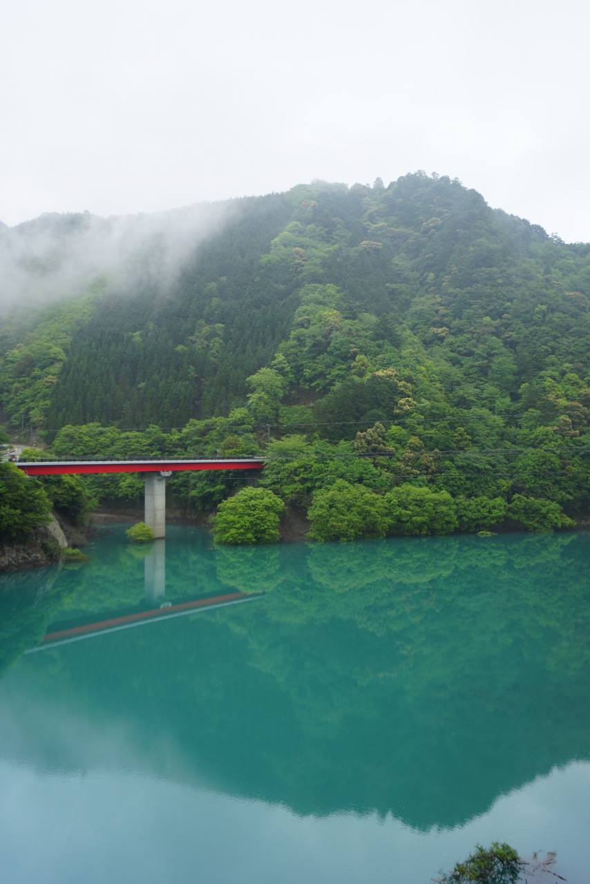 和歌山の花めぐり ２０１４年 ヤッホーもね 御坊 印南 日高川 和歌山県 の旅行記 ブログ By Hiro3さん フォートラベル