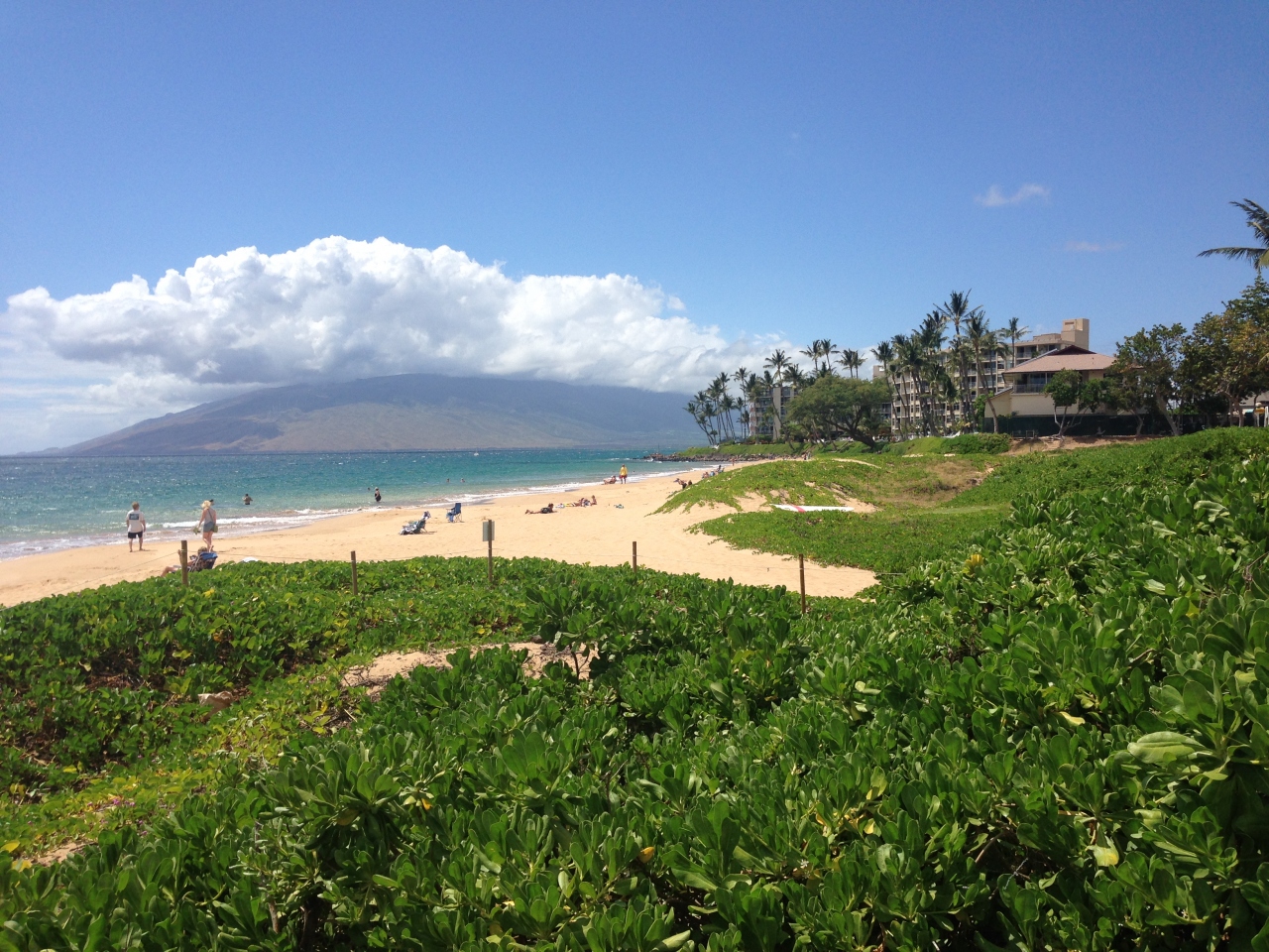 やっぱりマウイは癒される １ マウイ島 ハワイ の旅行記 ブログ By クヌートさん フォートラベル