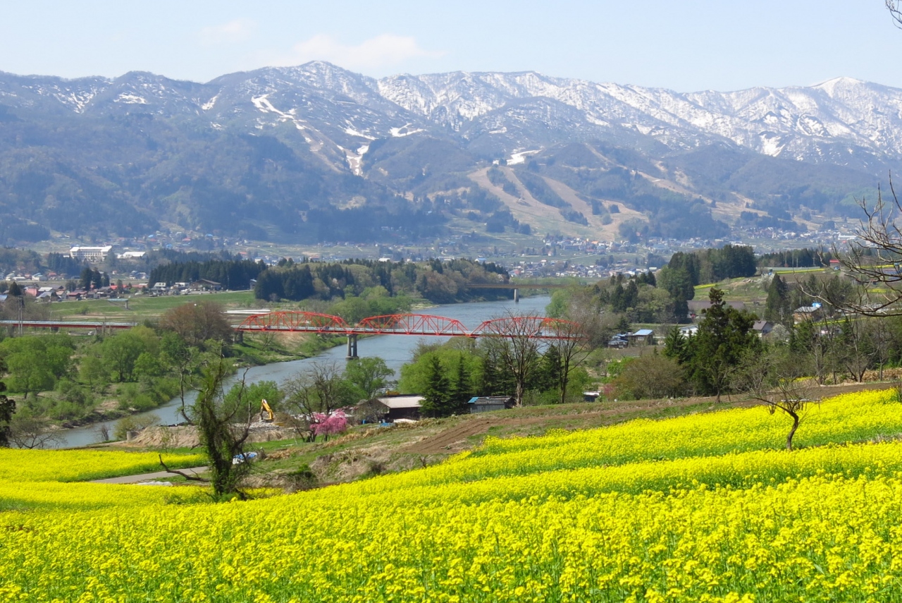上田城跡 荒砥城跡 菜の花公園 を訪ねて 飯山 栄村 長野県 の旅行記 ブログ By Oakatさん フォートラベル 上田城跡 荒砥城跡 菜の花公園 を訪ねて 飯山 栄村 長野県 の旅行記 ブログ By Oakatさん フォートラベル