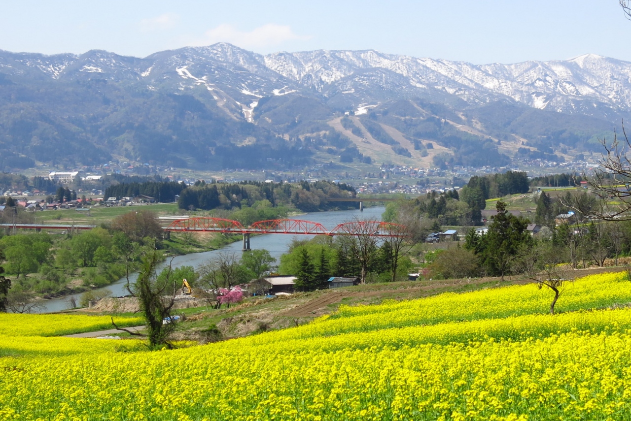 上田城跡 荒砥城跡 菜の花公園 を訪ねて 飯山 栄村 長野県 の旅行記 ブログ By Oakatさん フォートラベル