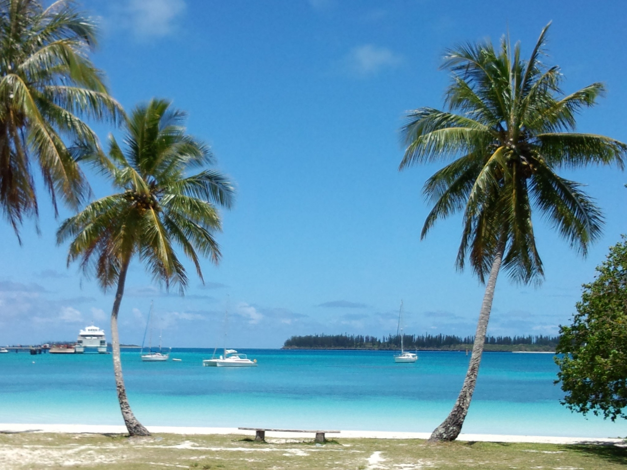 12年 冬 Newcaledonia ダイビング 海の宝石箱への旅 ヌメア ニューカレドニア の旅行記 ブログ By Kawaさん フォートラベル