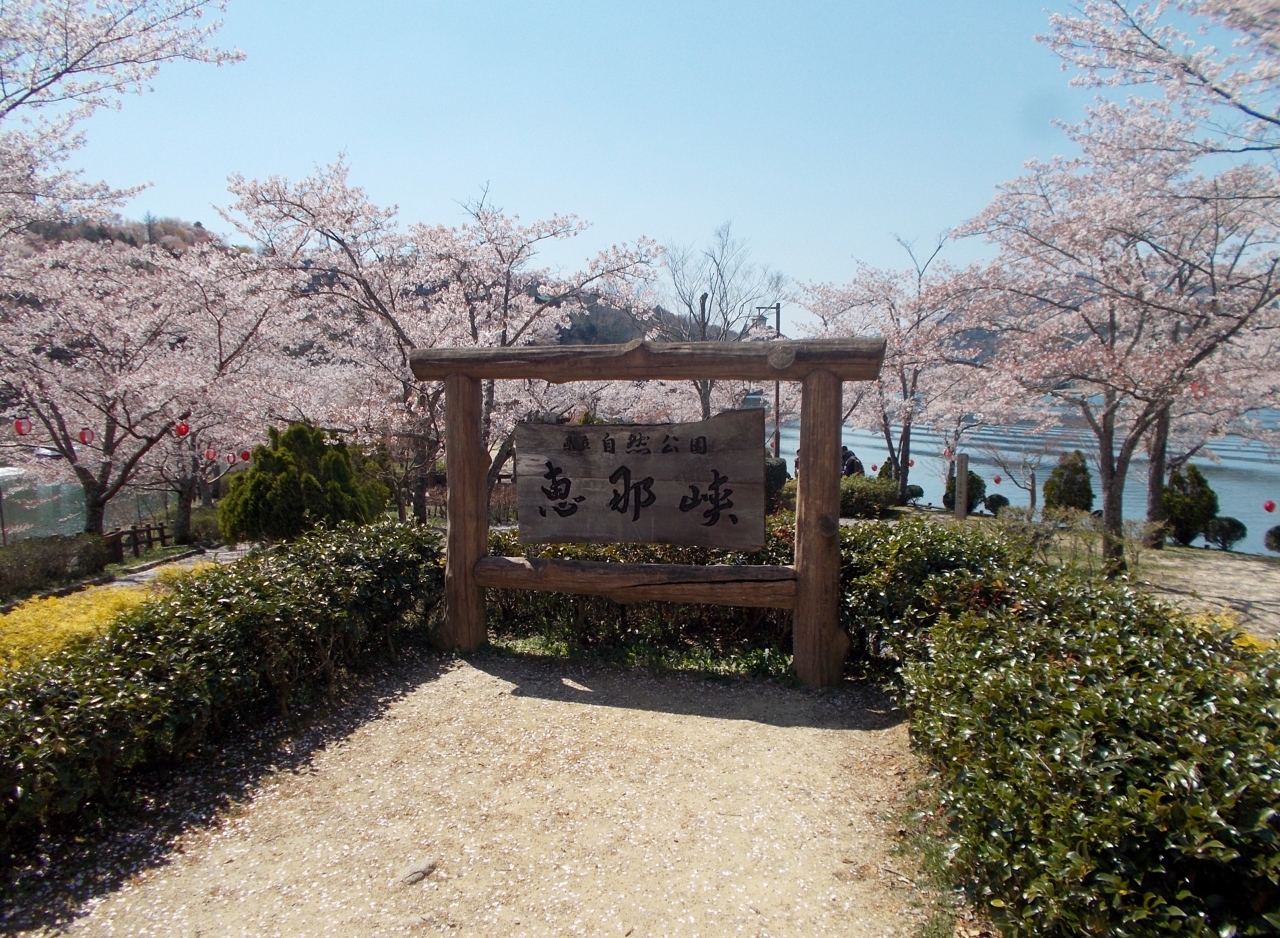 恵那峡の桜 恵那 岐阜県 の旅行記 ブログ By H1623mさん フォートラベル