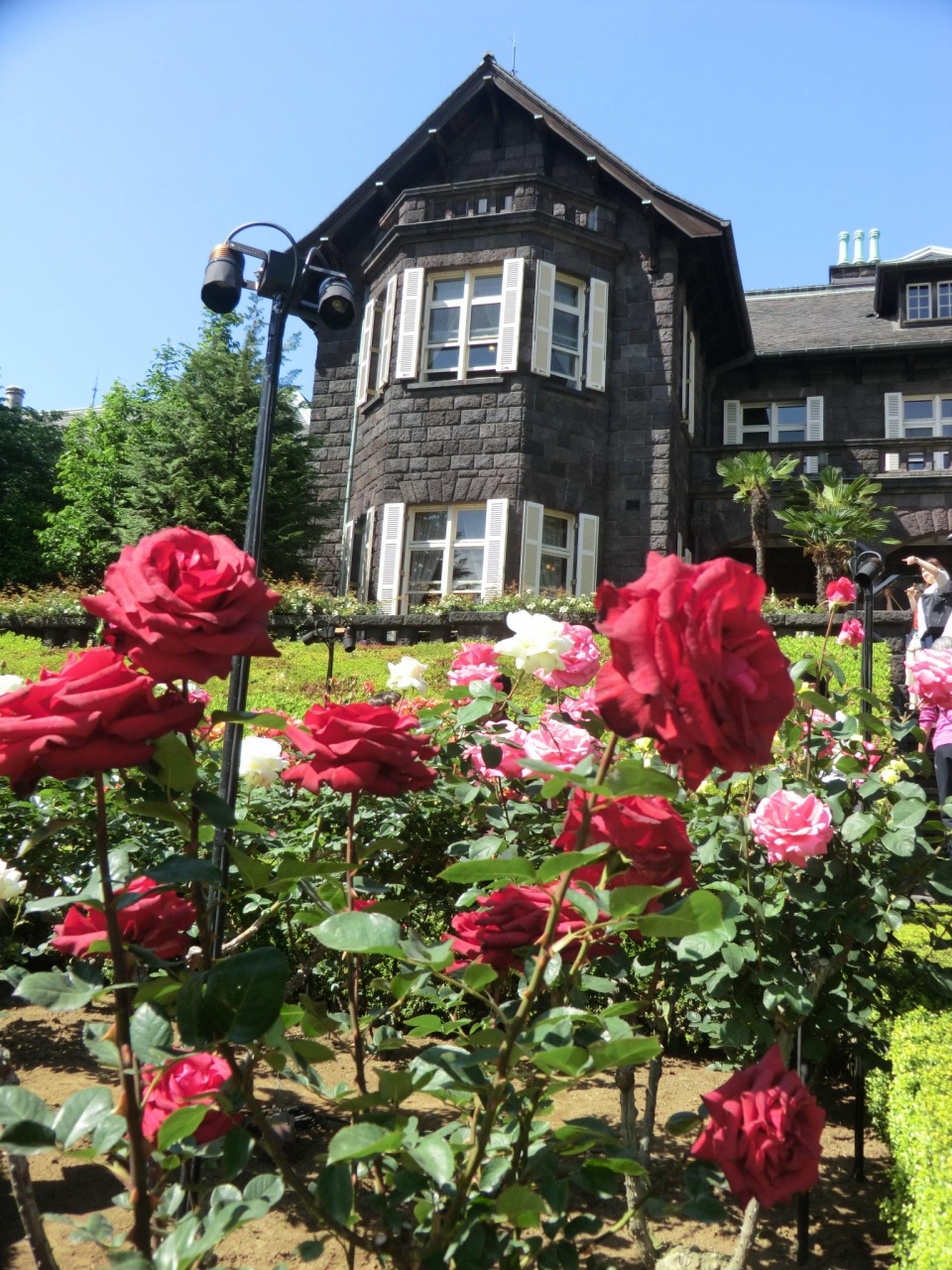 旧古河庭園は薔薇日和 大塚 巣鴨 駒込 東京 の旅行記 ブログ By Ktoku3さん フォートラベル