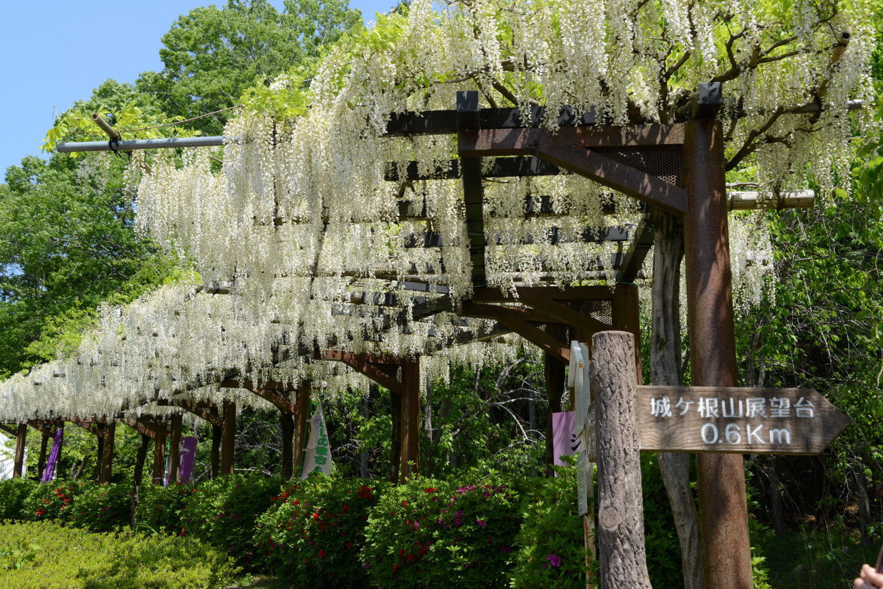 豊田市藤岡地区に遊ぶ 豊田 愛知県 の旅行記 ブログ By Punchmsさん フォートラベル