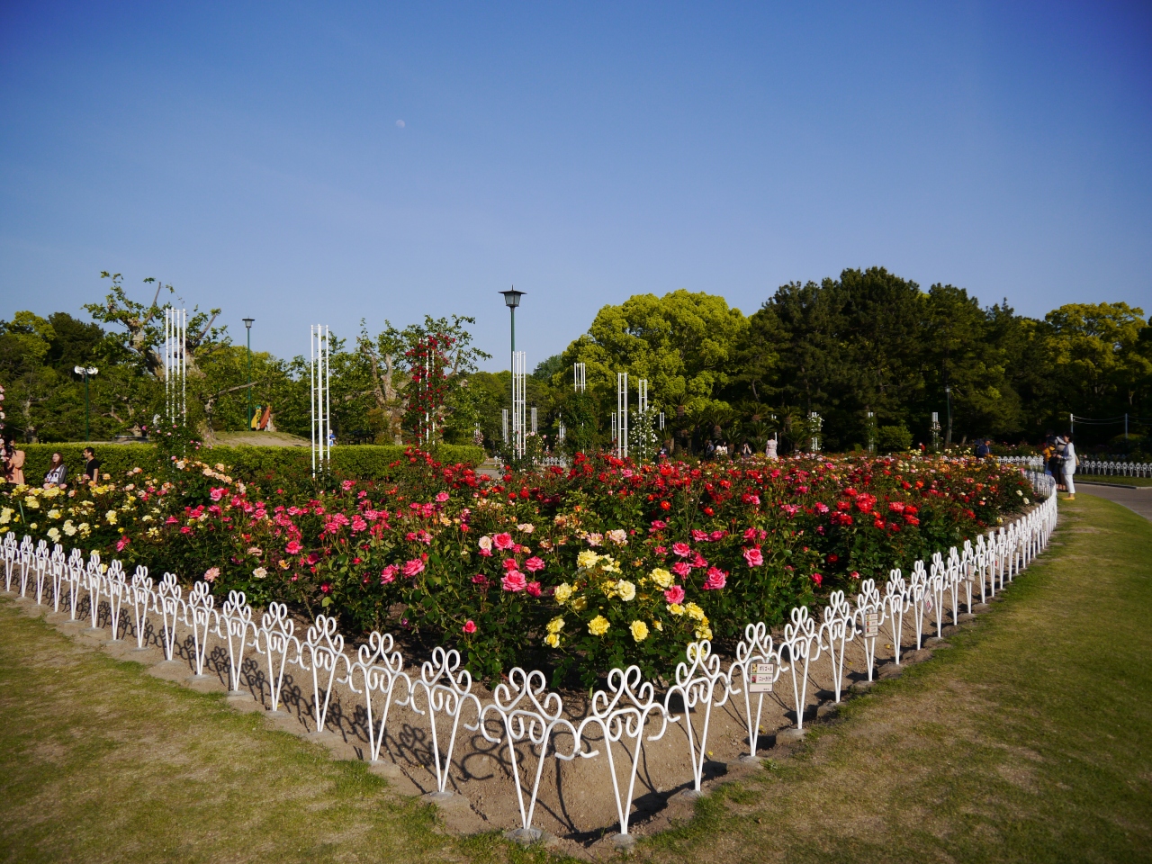 鶴舞公園を彩る春の花たち 鶴舞 堀田 愛知県 の旅行記 ブログ By Ma333maさん フォートラベル