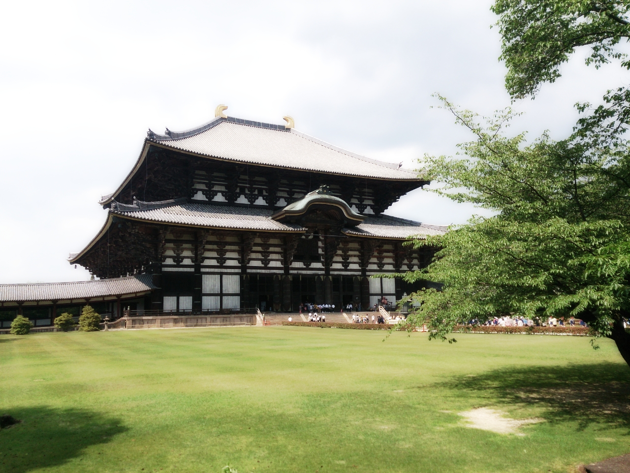 奈良 大阪 親娘で満喫関西旅行 奈良市 奈良県 の旅行記 ブログ By Hinata0126さん フォートラベル
