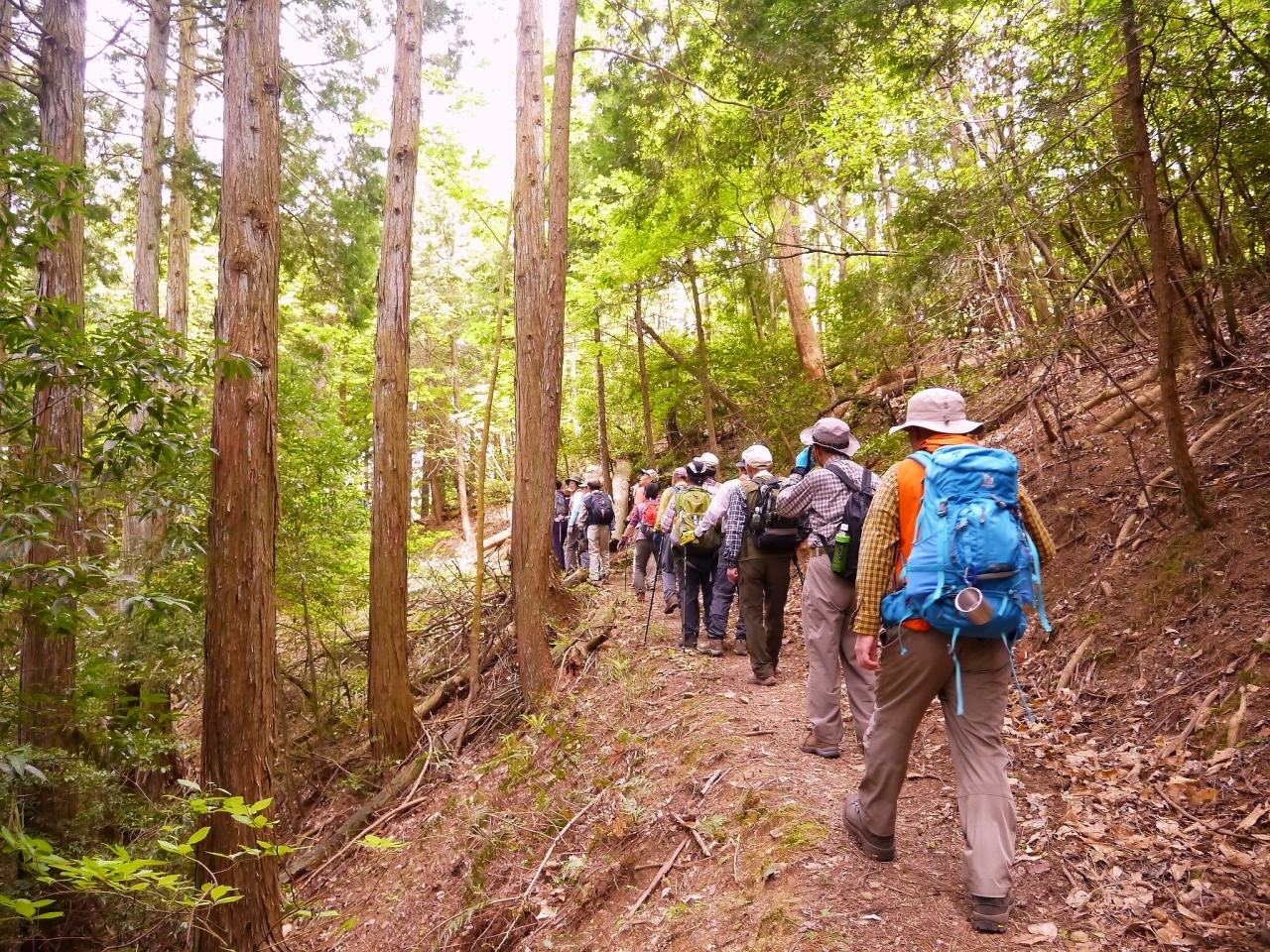 新緑の北近江を歩く 山本山 324 4m 賤ヶ岳 421 1m 縦 走 木之本 余呉 滋賀県 の旅行記 ブログ By kオジサンさん フォートラベル 新緑の北近江を歩く 山本山 324 4m 賤ヶ岳 421 1m 縦 走 木之本 余呉 滋賀県 の旅行記 ブログ By kオジサンさん フォートラベル