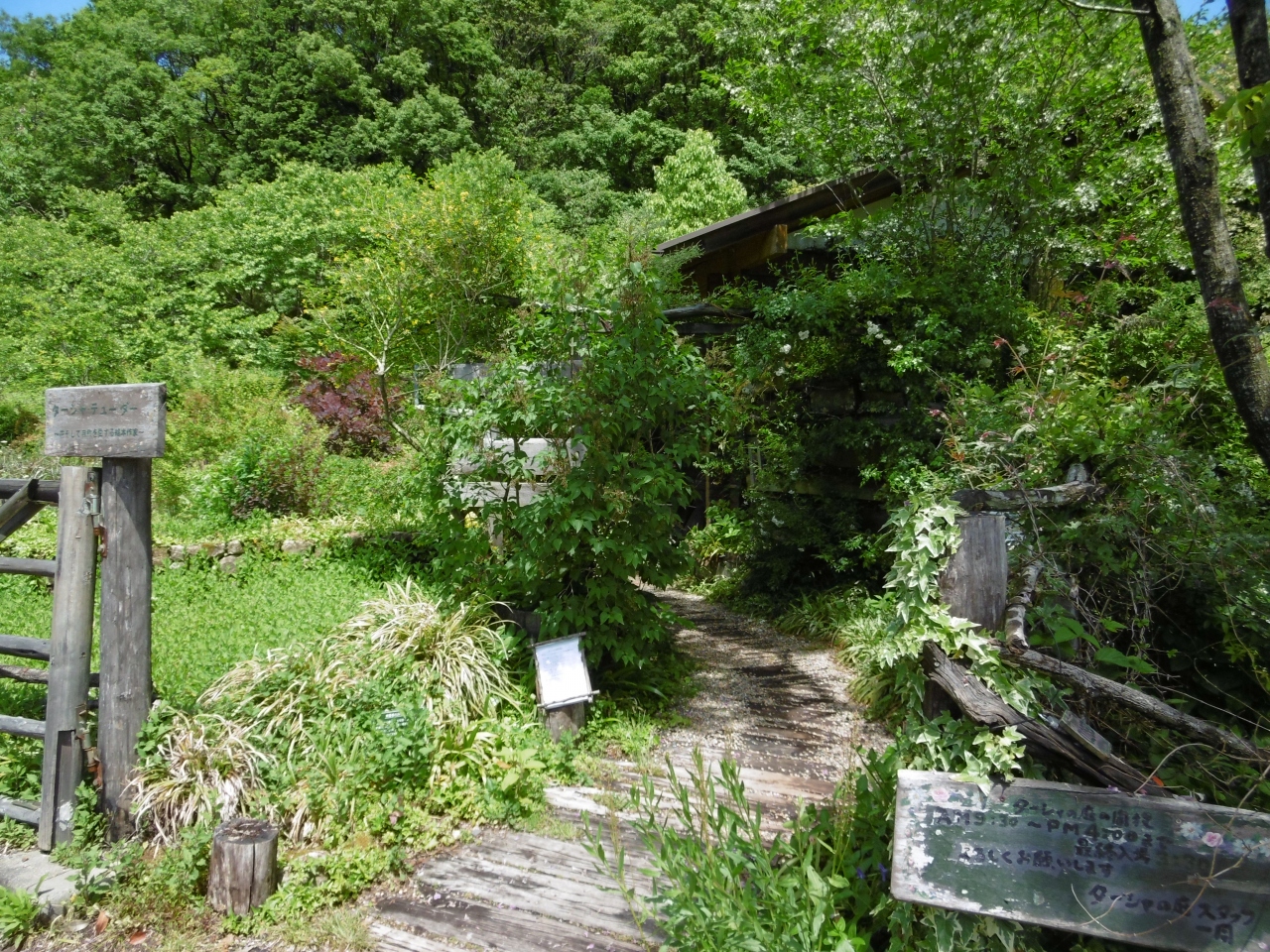 バラの香りに魅せられて 香りと美しさに包まれた薔薇の楽園 花フェスタ記念公園編 ターシャの庭 可児 岐阜県 の旅行記 ブログ By 咲くや姫さん フォートラベル