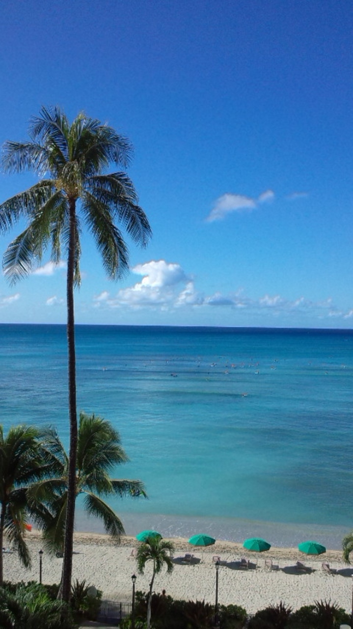 青い空 青い海 癒やされハワイ 3日目 オアフ島 ハワイ の旅行記 ブログ By こころさん フォートラベル