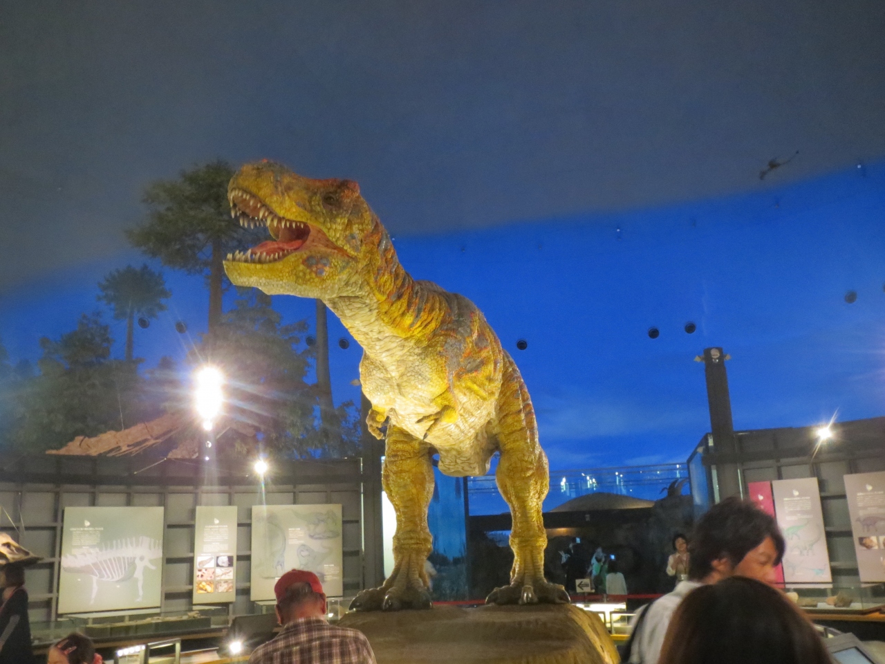 子連れで２度目の福井 というより恐竜博物館 旅行 14 5 勝山 福井県 の旅行記 ブログ By きーぽーさん フォートラベル