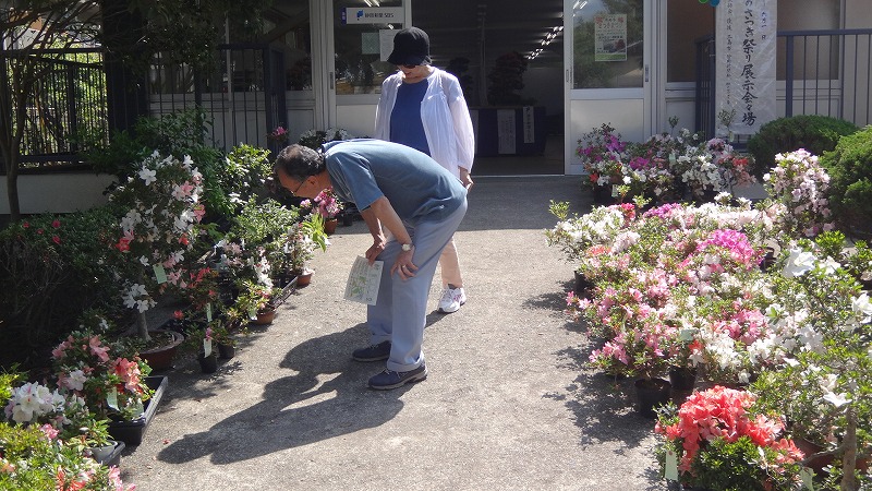 三島市立楽寿園 春のさつきまつりに展示されていた作品 三島 静岡県 の旅行記 ブログ By Hn11さん フォートラベル 三島市立楽寿園 春のさつきまつりに展示されていた作品 三島 静岡県 の旅行記 ブログ By Hn11さん フォートラベル