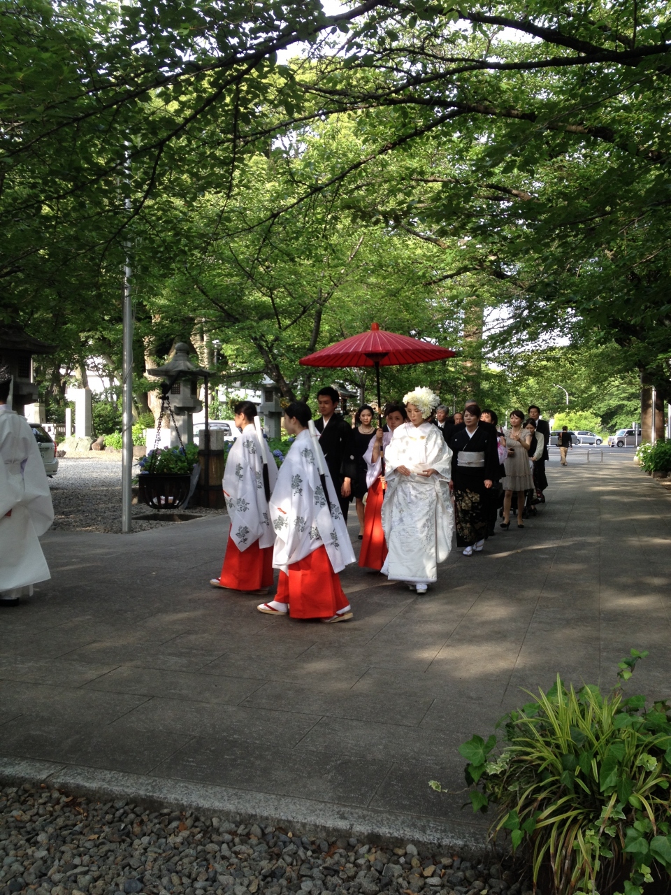 夫婦の門出を 紫陽花 の花が溢れる愛知護国神社で 名古屋 愛知県 の旅行記 ブログ By Melonpanさん フォートラベル
