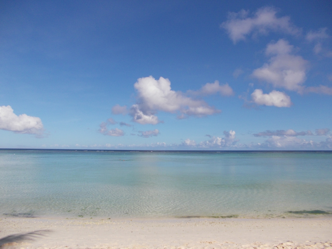 14 Guam 青い空が見たい 青い海が見たい 症候群 No4 サヨリ に囲まれる グアム グアム の旅行記 ブログ By Emilion14さん フォートラベル