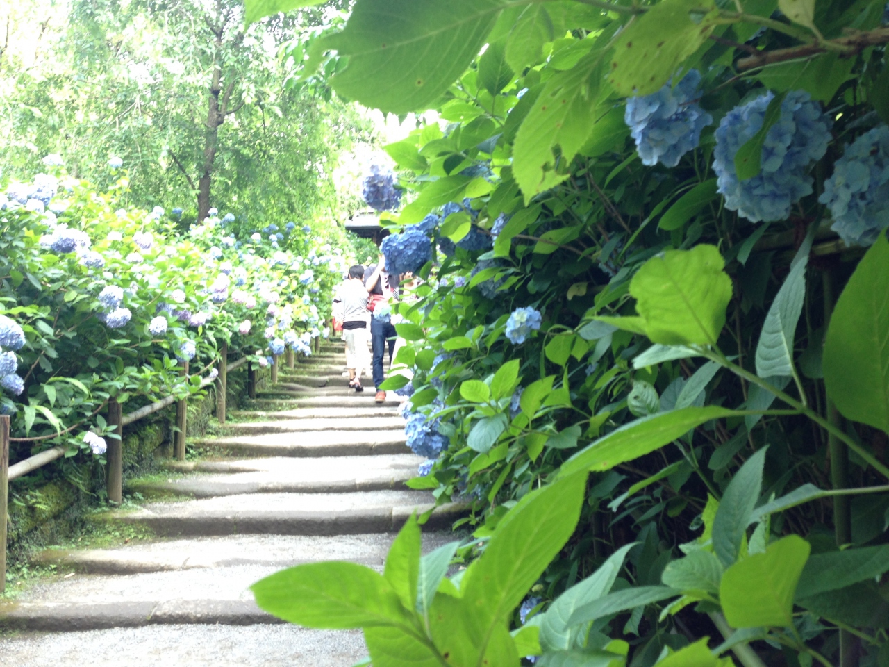 1泊２日三浦半島 鎌倉の旅 鎌倉 神奈川県 の旅行記 ブログ By Pdmさん フォートラベル