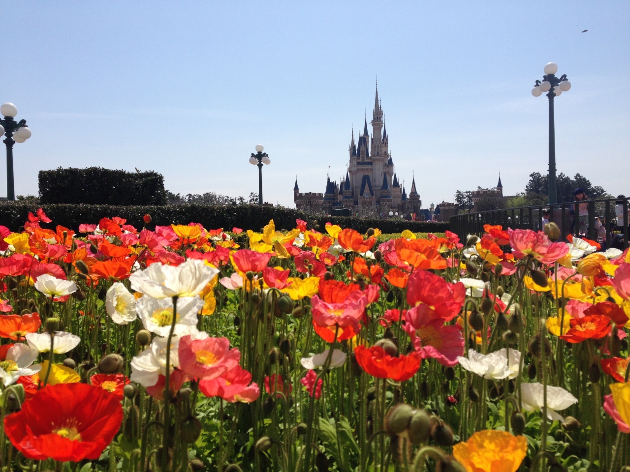 ディズニーランド イースター 東京ディズニーリゾート 千葉県 の旅行記 ブログ By Pdmさん フォートラベル