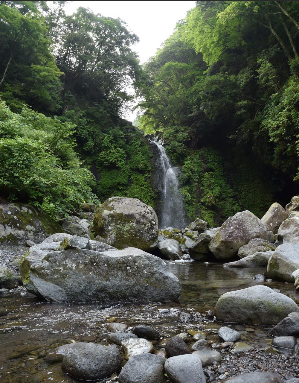 自転車でgo 14 06 26 大棚の滝へ 富士 静岡県 の旅行記 ブログ By てんとう虫さん フォートラベル