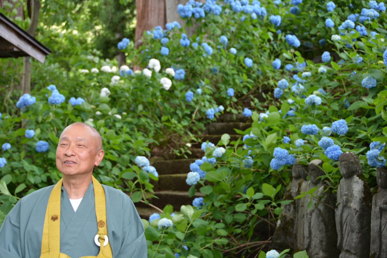 紫陽花の美しさは飯山市 高源院 鎌倉 明月院 飯山 栄村 長野県 の旅行記 ブログ By Kazukazuさん フォートラベル