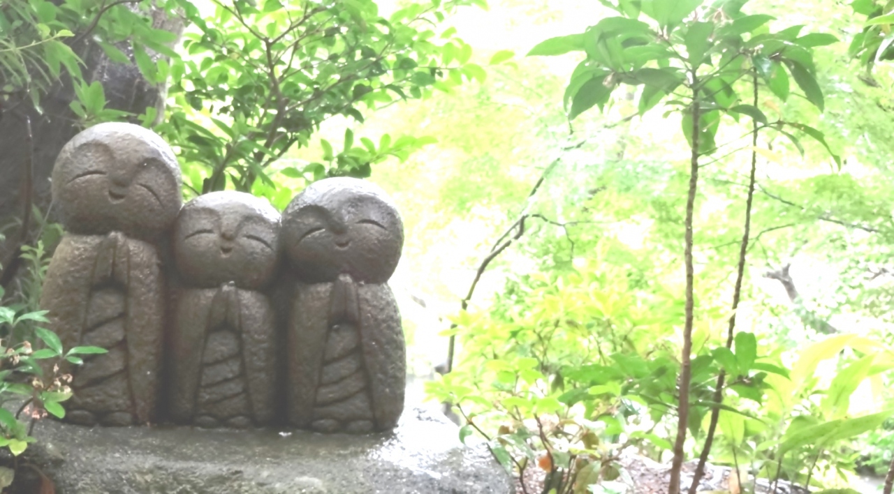 雨のなか 紫陽花の長谷寺 御霊神社 成就院は剪定後で紫陽花はなし 鎌倉 神奈川県 の旅行記 ブログ By 風なりさん フォートラベル