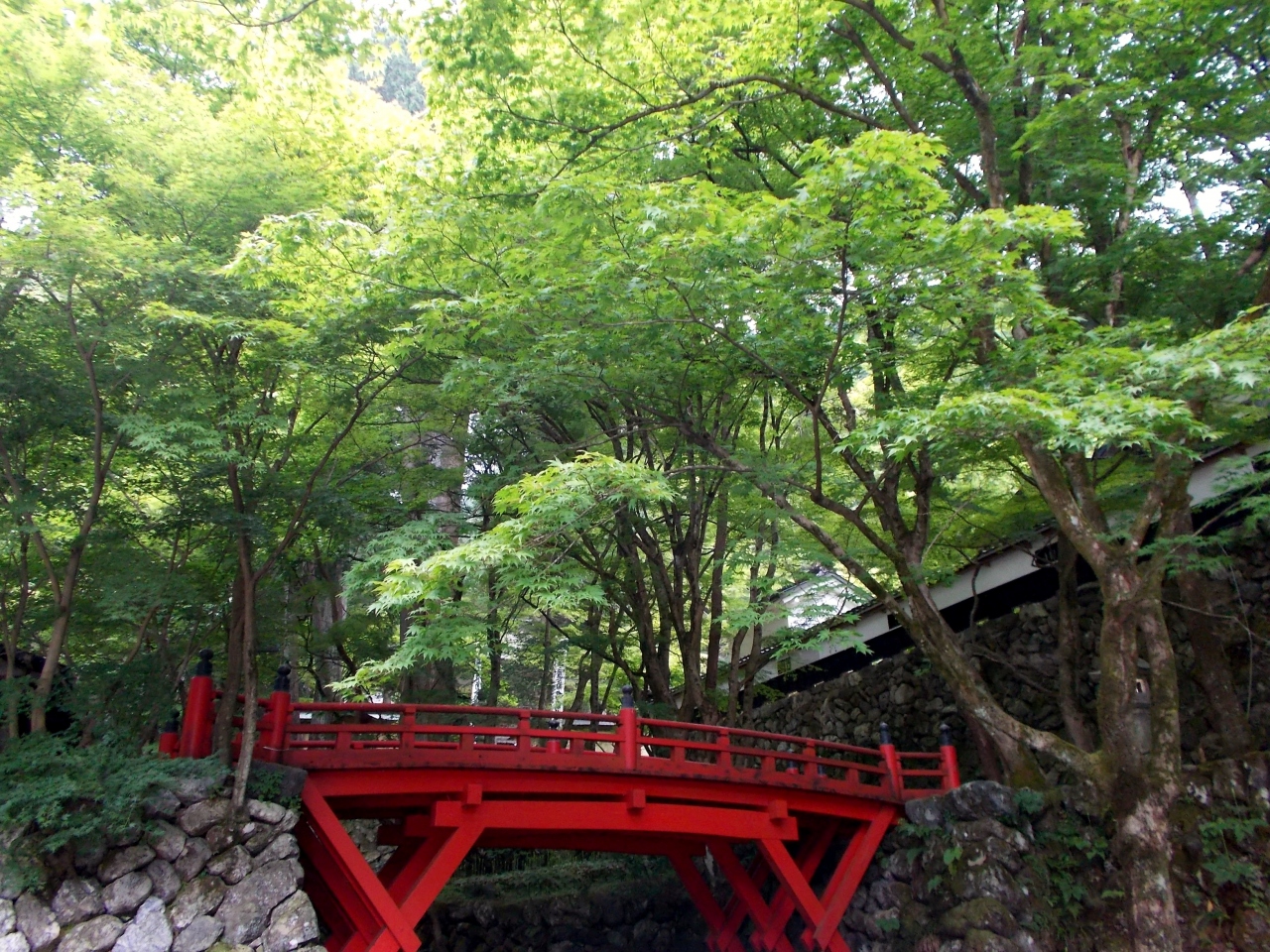 岐阜県揖斐川町 横蔵寺の青もみじ 揖斐川 岐阜県 の旅行記 ブログ By H1623mさん フォートラベル 岐阜県揖斐川町 横蔵寺の青もみじ 揖斐川 岐阜県 の旅行記 ブログ By H1623mさん フォートラベル